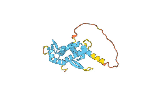 Recombinant Human E2F7 Protein, N-His