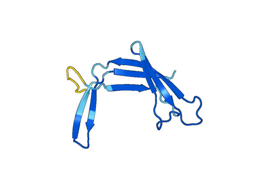 Recombinant Human EAF1 Protein, N-His-SUMO
