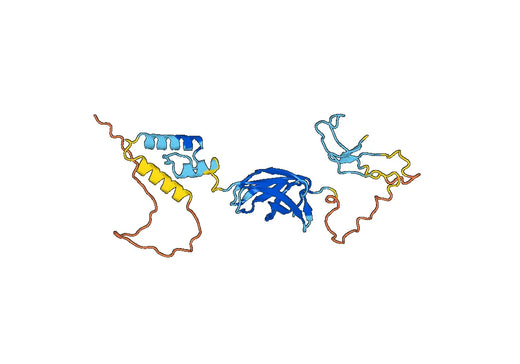 Recombinant Human EBF1, N-His