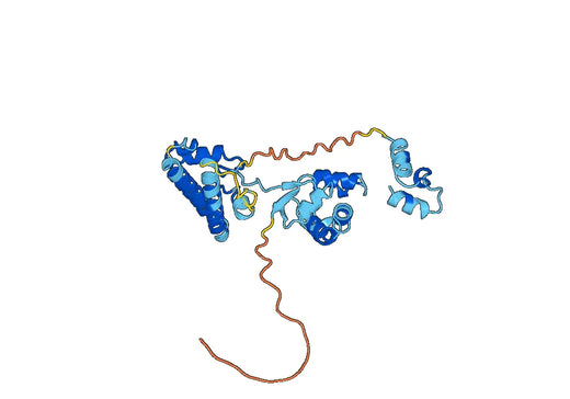 Recombinant Human ECM1, N-His