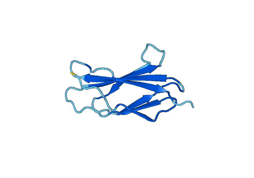 Recombinant Human EDB/EDB-FN Protein, N-His