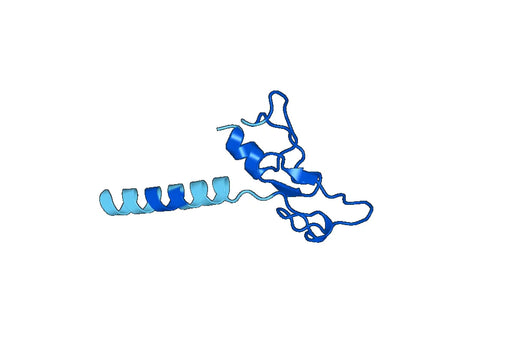 Recombinant Human EEA1 Protein, N-His-SUMO & C-Strep