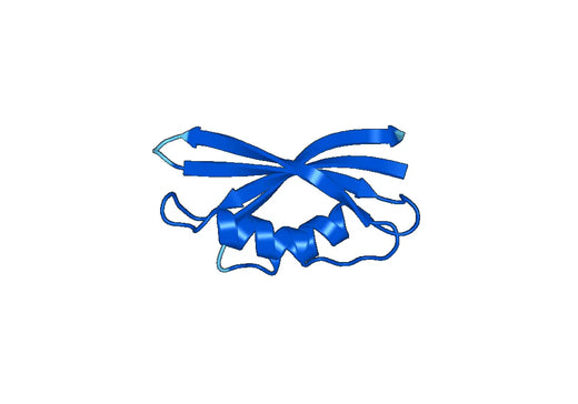 Recombinant Human EEF1D Protein, N-His-SUMO & C-Strep