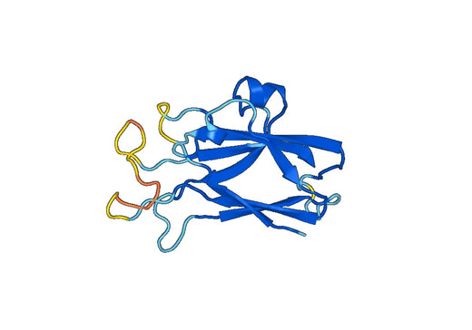 Recombinant Human EFNA3 Protein, N-His-SUMO