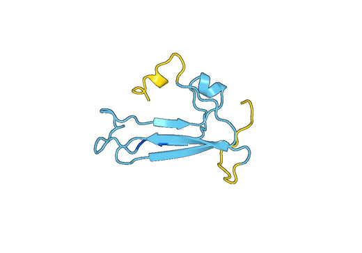 Recombinant Human EFNB3 Protein, N-His-SUMO