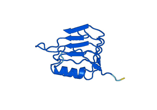 Recombinant Human EGFR/ERBB1/HER1 Protein, N-His
