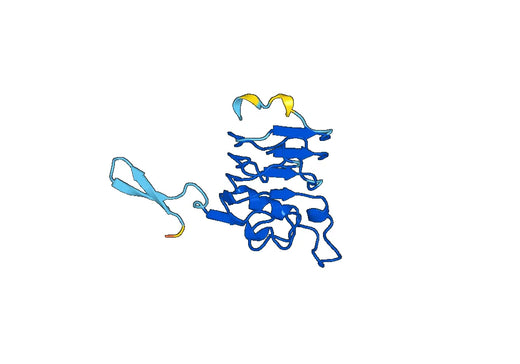 Recombinant Human EGFR/ERBB1/HER1 Protein, N-His