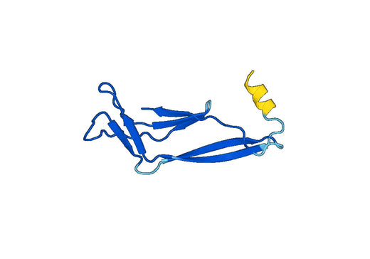Recombinant Human EHBP1 Protein, N-His
