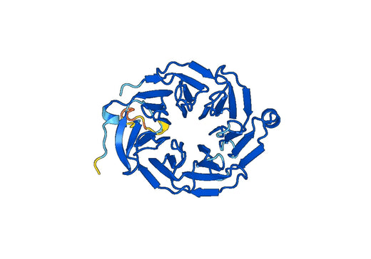 Recombinant Human EIF3I Protein, N-His