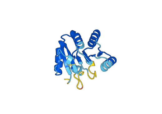 Recombinant Human EIF4A1 Protein, N-His