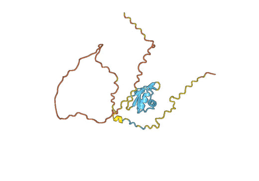 Recombinant Human EIF4H, N-His