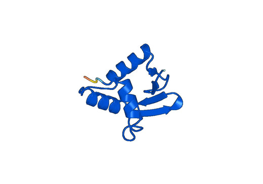 Recombinant Human ELF1 Protein, N-His-SUMO