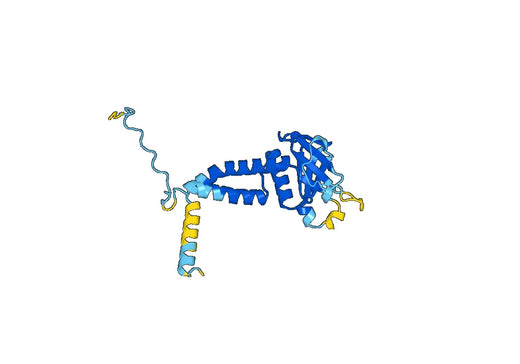 Recombinant Human ELMO2, N-His