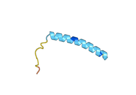 Recombinant Human EMC6/TMEM93, N-SUMO