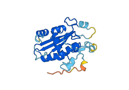 Recombinant Human ENPP2, N-His