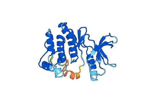 Recombinant Human EPHA10, N-His