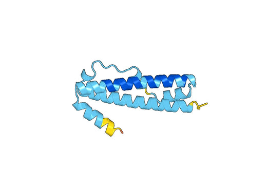 Recombinant Human ERC1 Protein, N-His-SUMO
