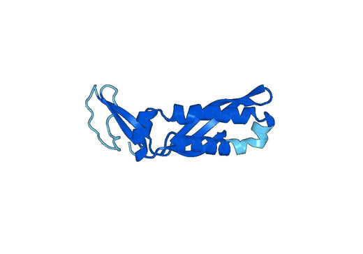 Recombinant Human ERLIN1 Protein, N-His