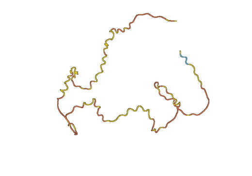 Recombinant Human ESR1/ER-alpha Protein, N-His