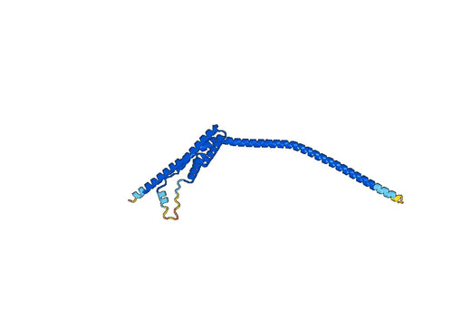 Recombinant Human EXOC7 Protein, N-His