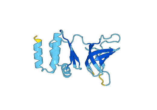 Recombinant Human EXOSC3 Protein, N-His