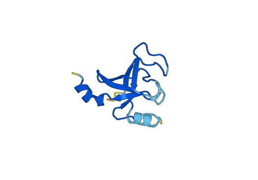 Recombinant Human F7, N-His