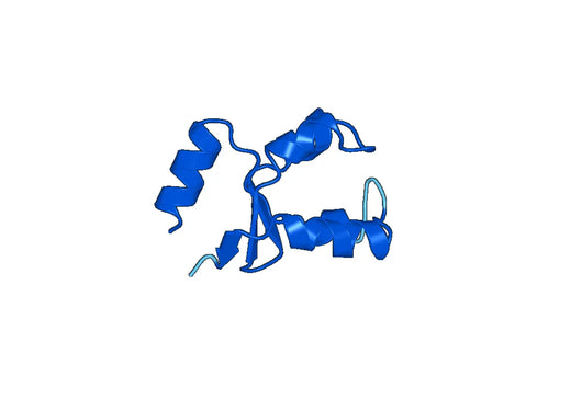 Recombinant Human FA2H Protein, N-His-SUMO