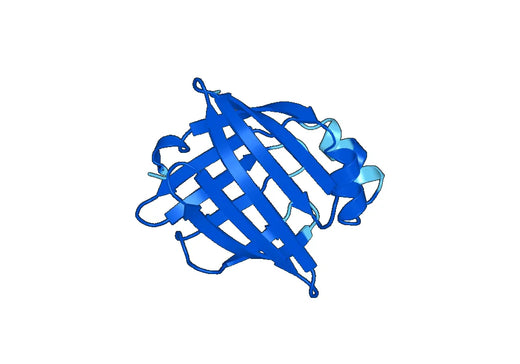 Recombinant Human FABP7 Protein, N-His