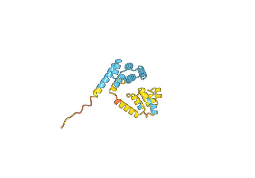 Recombinant Human FADD, N-His