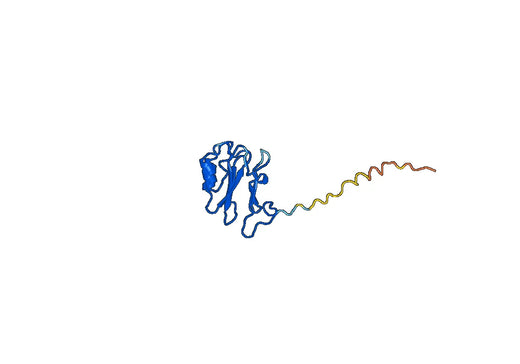 Recombinant Human FAM3B, N-His