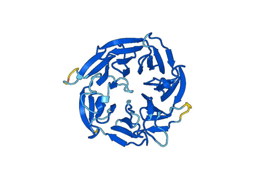 Recombinant Human FBXW2 Protein, N-His
