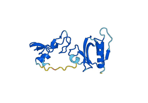 Recombinant Human FGD4/FRABP Protein, N-His