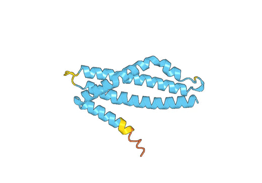 Recombinant Human FGD5 Protein, N-His
