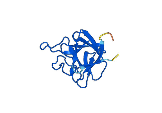 Recombinant Human FGF5 Protein, N-His
