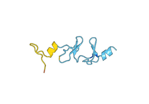 Recombinant Human FHL2 Protein, N-His-SUMO & C-Strep