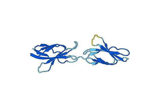 Recombinant Human FNDC3B Protein, N-His