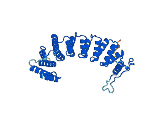 Recombinant Human FNTA, N-His