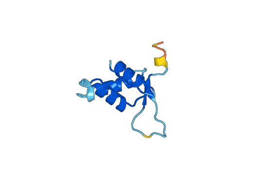 Recombinant Human FOXA3 Protein, N-His-SUMO