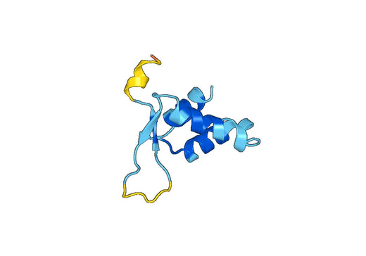 Recombinant Human FOXC1 Protein, N-His-SUMO
