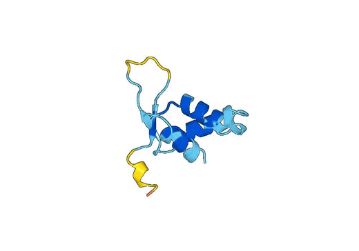 Recombinant Human FOXC2 Protein, N-His