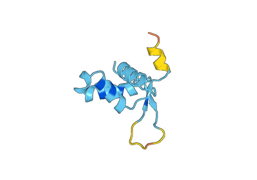 Recombinant Human FOXL2 Protein, N-His-SUMO & C-Strep