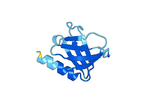 Recombinant Human FRS2 Protein, N-His-SUMO