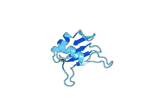 Recombinant Human FUS Protein, N-His-SUMO