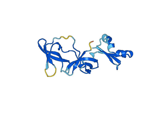 Recombinant Human FXR1 Protein, N-His