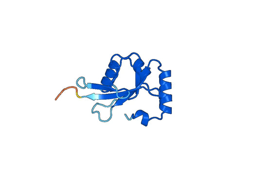 Recombinant Human GABARAPL2 Protein, N-His