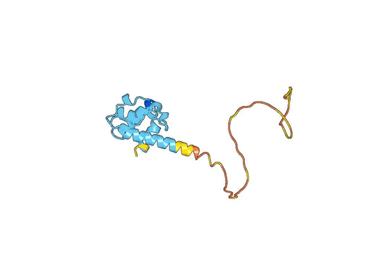 Recombinant Human GABPA, N-His