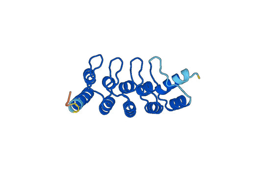 Recombinant Human GABPB1 Protein, N-His