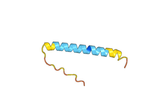 Recombinant Human GAP43 Protein, N-His-SUMO