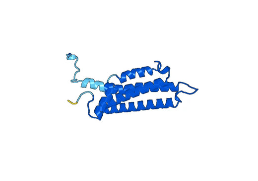 Recombinant Human GCDH, N-His