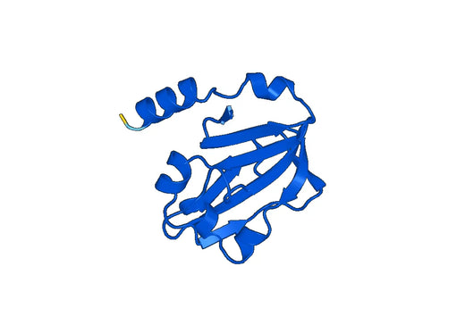 Recombinant Human GCSH Protein, N-His